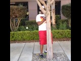 When you're so addicted to Badoo you forget your surroundings (Vine)